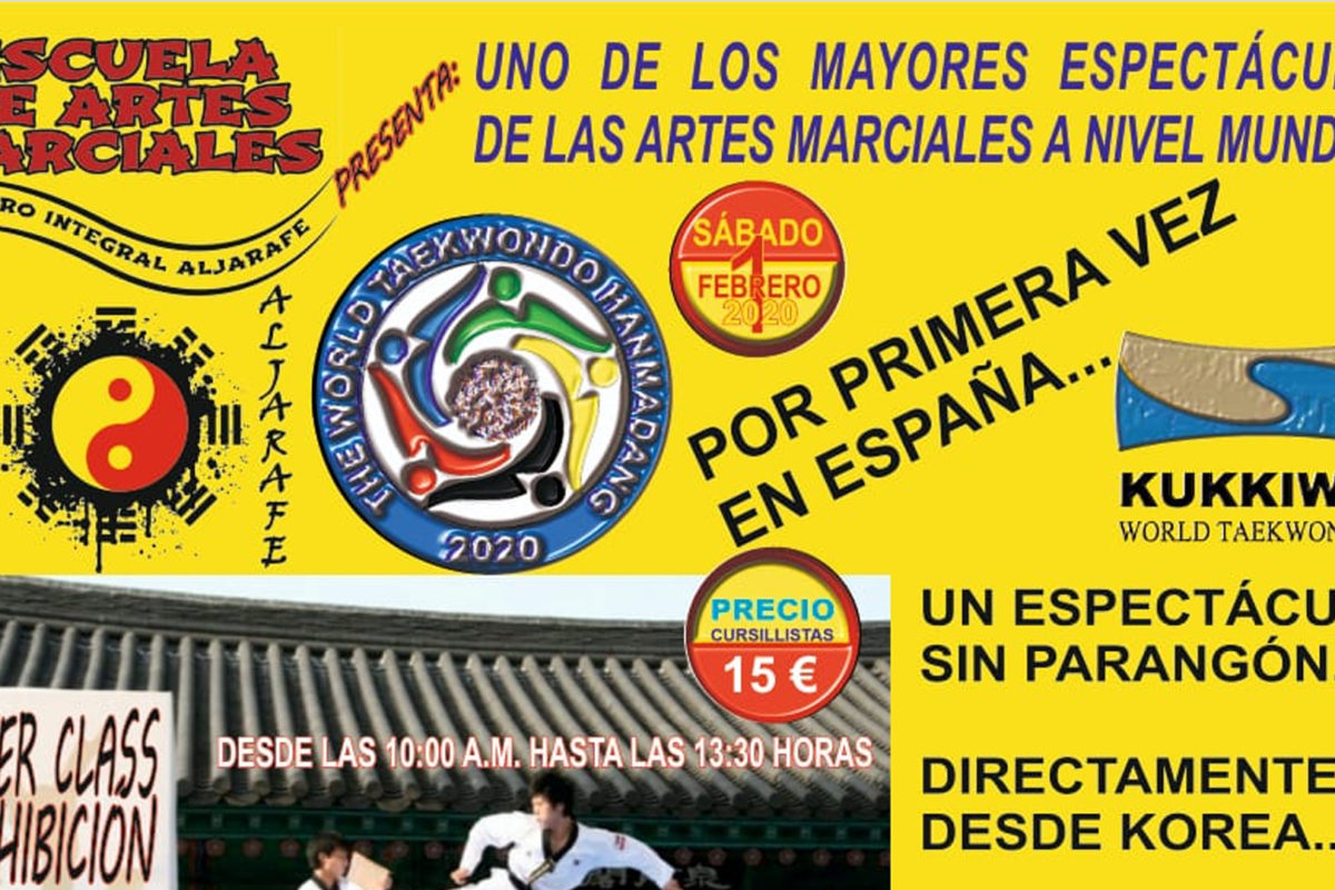Espectáculo artes marciales a nivel mundial