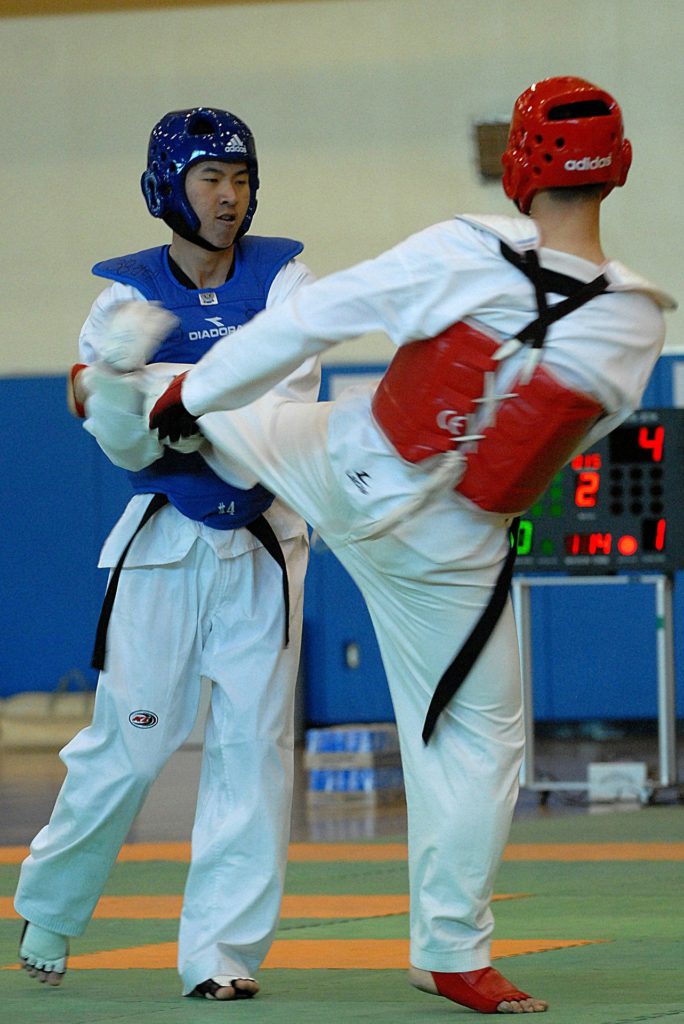 TAEKWONDO ITF FEDAMC