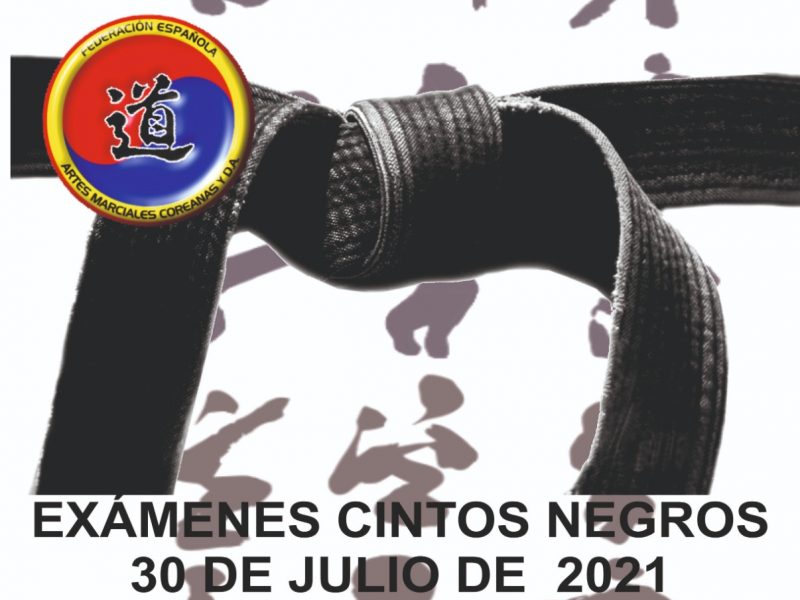 Exámenes cintos negros Julio 2021