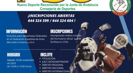 Curso de arbitraje de Korean Semi Contact