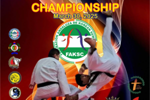 WORLD CHAMPIONSHIP 호신술