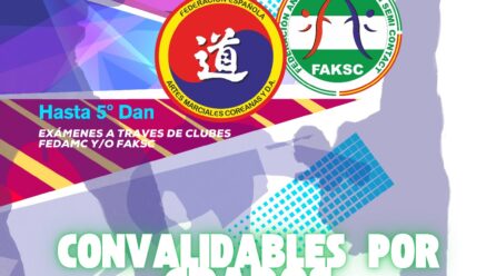 EXAMENES CINTOS NEGROS TAEKWONDO