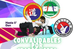 EXAMENES CINTOS NEGROS HAPKIDO