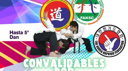 EXAMENES CINTOS NEGROS HAPKIDO