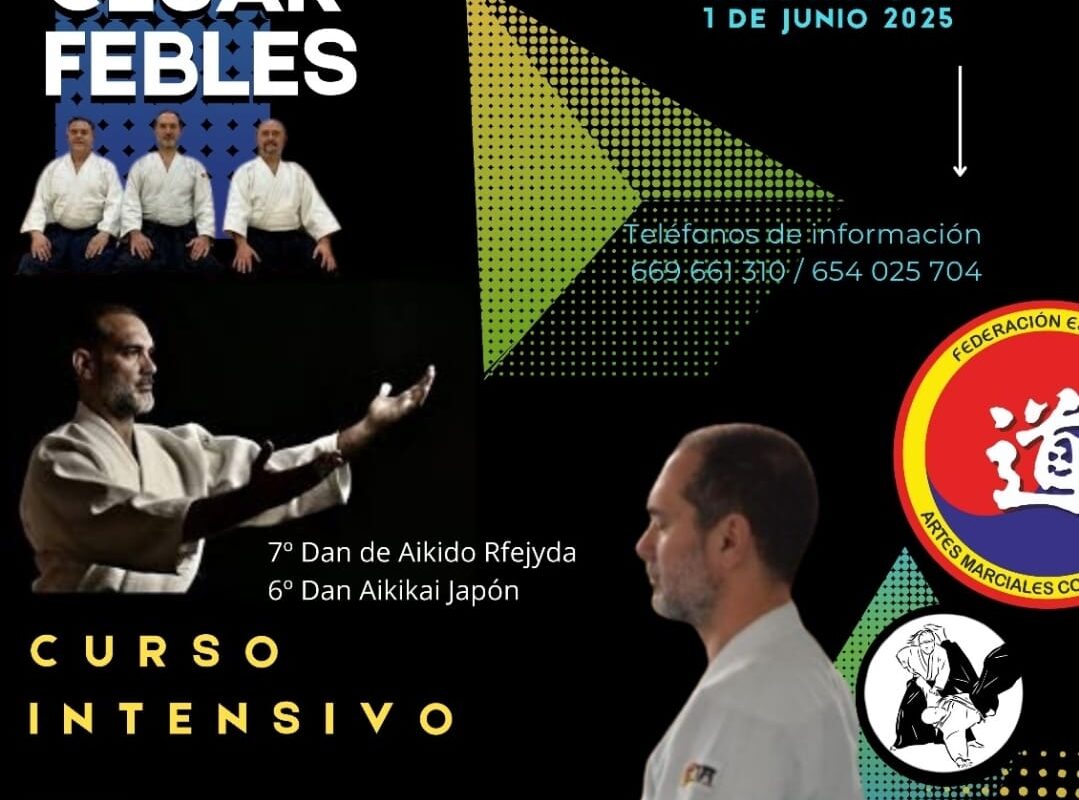 XXXI CURSO NACIONAL DE AIKIDO
